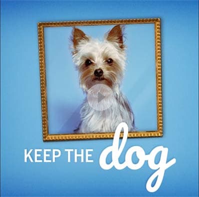  A picture of small dog in a picture frame hanging on a blue wall. 