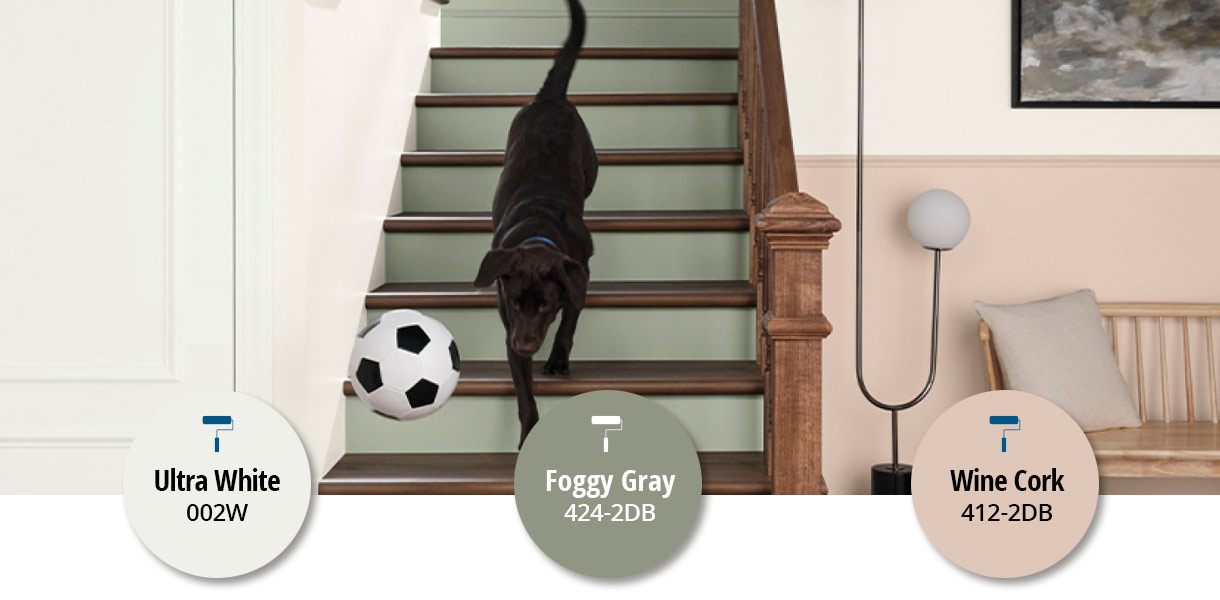 Stylish home entryway with dog chasing soccer ball down a painted wood staircase.